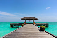Photo Wallpaper The freedom at the sea