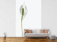 Load image into Gallery viewer, Photo Wallpaper The peace lily
