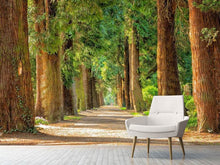Load image into Gallery viewer, Photo Wallpaper The green avenue
