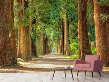 Load image into Gallery viewer, Photo Wallpaper The green avenue
