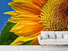 Load image into Gallery viewer, Photo Wallpaper The bud Close up
