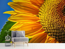 Load image into Gallery viewer, Photo Wallpaper The bud Close up
