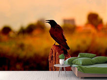 Load image into Gallery viewer, Photo Wallpaper The crow in the evening light
