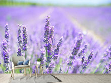 Load image into Gallery viewer, Photo Wallpaper The lavender blossom
