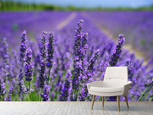 Load image into Gallery viewer, Photo Wallpaper The lavender flowers
