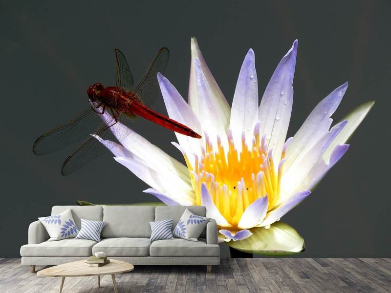 Load image into Gallery viewer, Photo Wallpaper The dragonfly on the flower