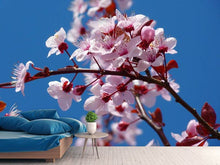 Load image into Gallery viewer, Photo Wallpaper The almond blossom
