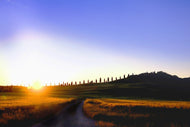 Photo Wallpaper The dawn