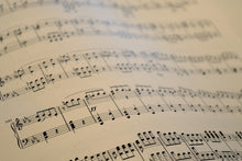 Load image into Gallery viewer, Photo Wallpaper The music notes
