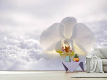 Load image into Gallery viewer, Photo Wallpaper The orchids bloom
