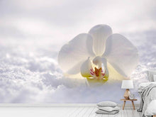 Load image into Gallery viewer, Photo Wallpaper The orchids bloom
