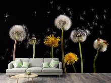 Load image into Gallery viewer, Photo Wallpaper The phases of dandelion
