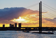 Photo Wallpaper The Rhine bridge