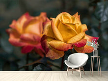 Load image into Gallery viewer, Photo Wallpaper The rose in the garden
