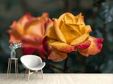 Load image into Gallery viewer, Photo Wallpaper The rose in the garden
