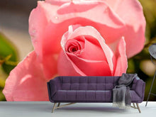 Load image into Gallery viewer, Photo Wallpaper The rose in pink
