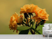 Load image into Gallery viewer, Photo Wallpaper The roses in nature
