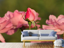 Load image into Gallery viewer, Photo Wallpaper The rosebud
