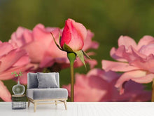 Load image into Gallery viewer, Photo Wallpaper The rosebud

