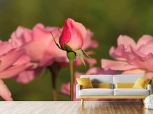 Load image into Gallery viewer, Photo Wallpaper The rosebud
