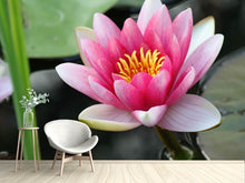 Load image into Gallery viewer, Photo Wallpaper The water lily in pink
