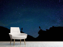 Load image into Gallery viewer, Photo Wallpaper The stargazers
