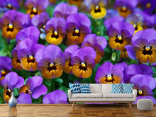 Load image into Gallery viewer, Photo Wallpaper The pansies
