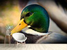 Load image into Gallery viewer, Photo Wallpaper The mallard
