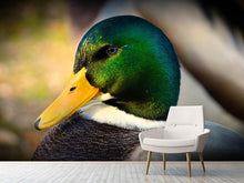 Load image into Gallery viewer, Photo Wallpaper The mallard
