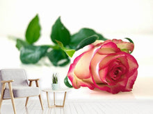 Load image into Gallery viewer, Photo Wallpaper The proud rose
