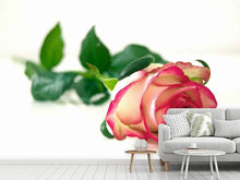 Load image into Gallery viewer, Photo Wallpaper The proud rose
