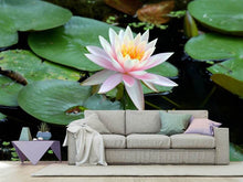 Load image into Gallery viewer, Photo Wallpaper The proud water lily
