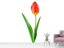 Load image into Gallery viewer, Photo Wallpaper The proud tulip
