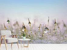 Load image into Gallery viewer, Photo Wallpaper The dew drops
