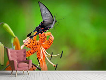 Load image into Gallery viewer, Photo Wallpaper The Tiger Lily and the butterfly
