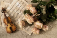 Photo Wallpaper The violin