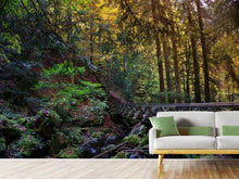 Load image into Gallery viewer, Photo Wallpaper The forest bridge
