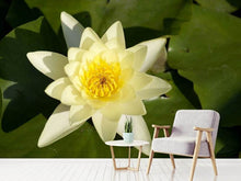 Load image into Gallery viewer, Photo Wallpaper The water lily in yellow
