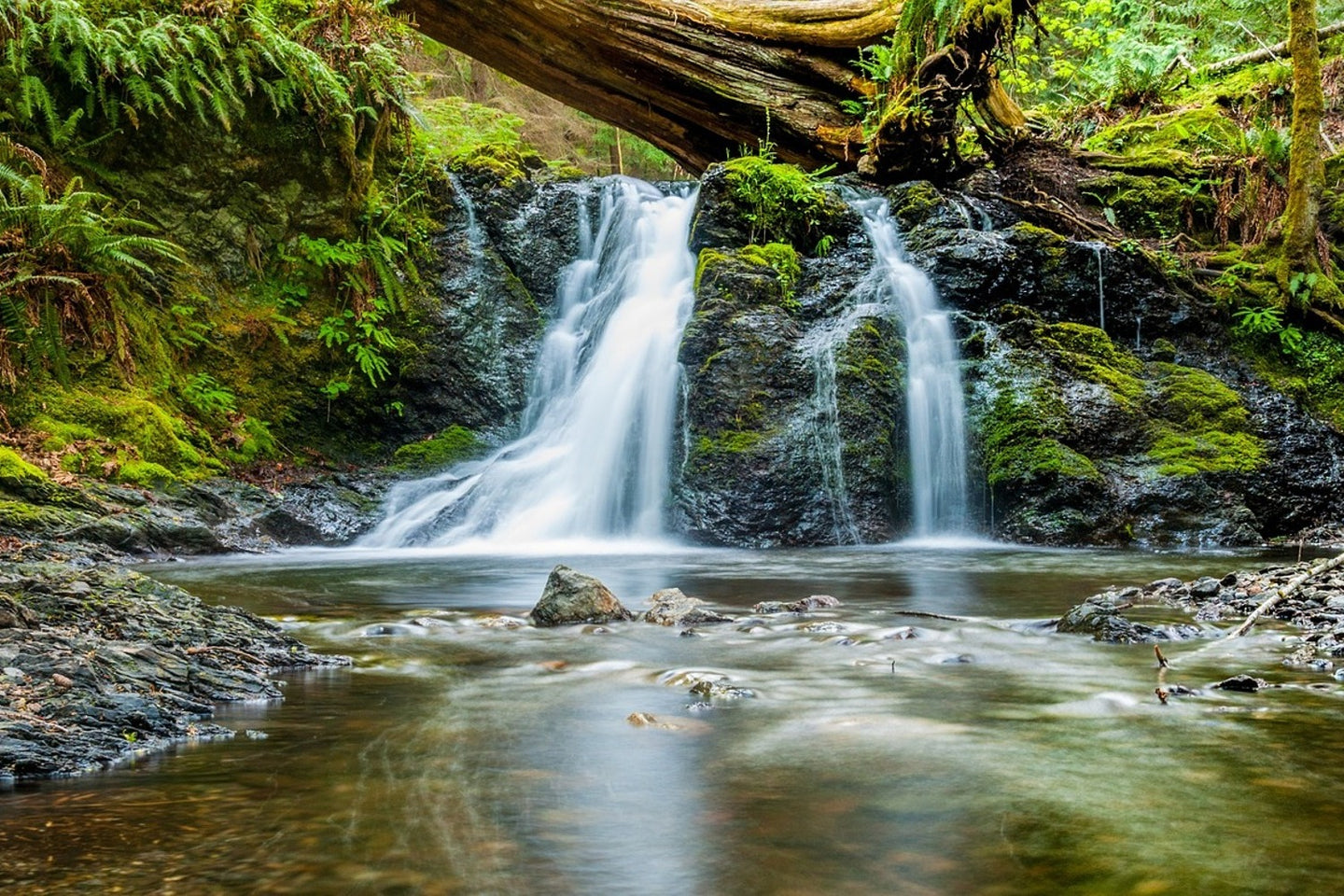 Photo Wallpaper The ways of the water