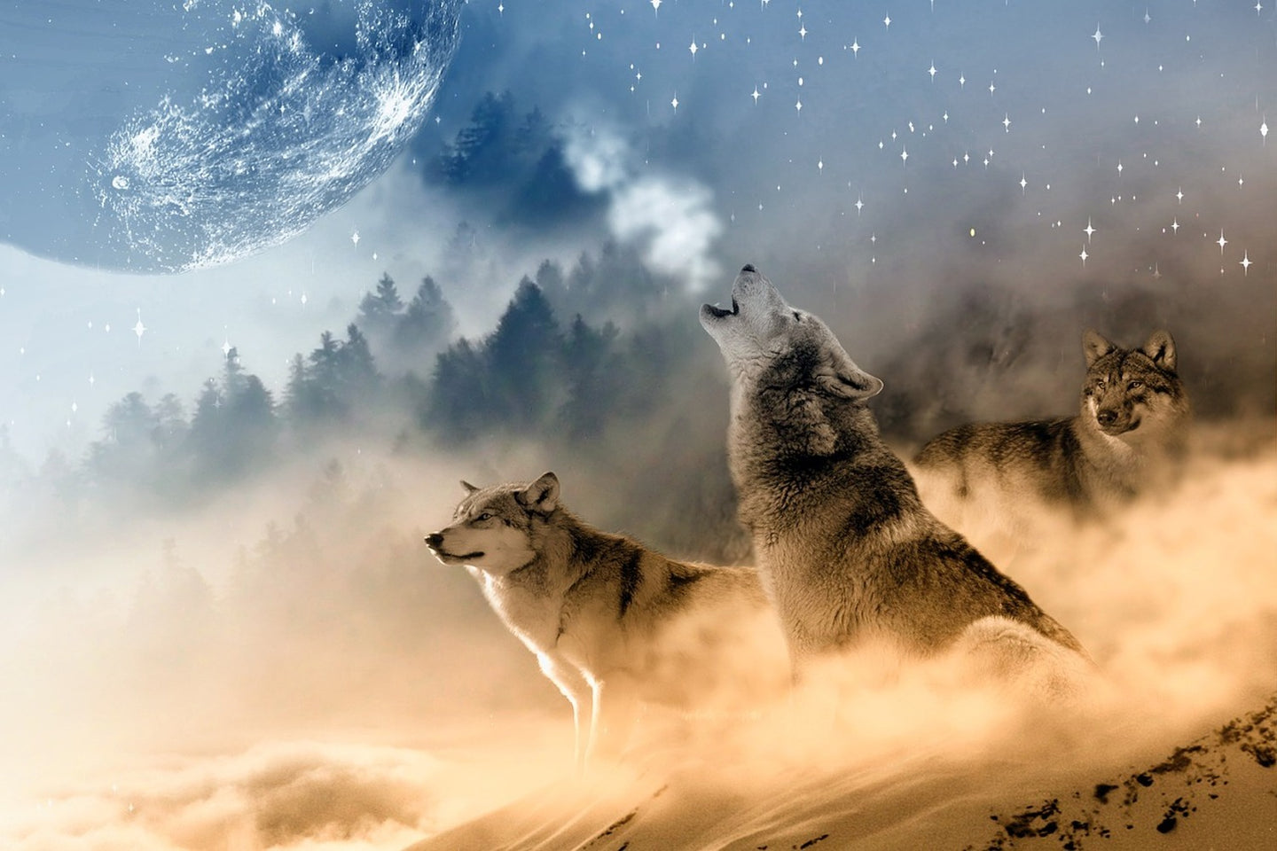 Photo Wallpaper The world of wolves