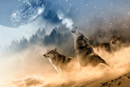Photo Wallpaper The world of wolves