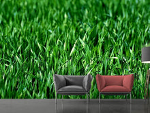 Load image into Gallery viewer, Photo Wallpaper The meadow in XL
