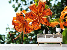 Load image into Gallery viewer, Photo Wallpaper The wild tiger lilies
