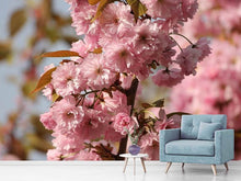 Load image into Gallery viewer, Photo Wallpaper The ornamental cherry
