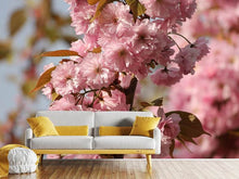 Load image into Gallery viewer, Photo Wallpaper The ornamental cherry
