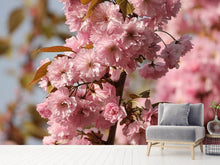 Load image into Gallery viewer, Photo Wallpaper The ornamental cherry
