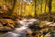 Photo Wallpaper Real nature beauty