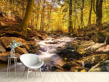 Load image into Gallery viewer, Photo Wallpaper Real nature beauty
