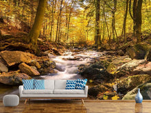 Load image into Gallery viewer, Photo Wallpaper Real nature beauty
