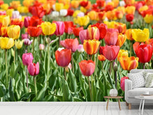 Load image into Gallery viewer, Photo Wallpaper A colorful tulip field
